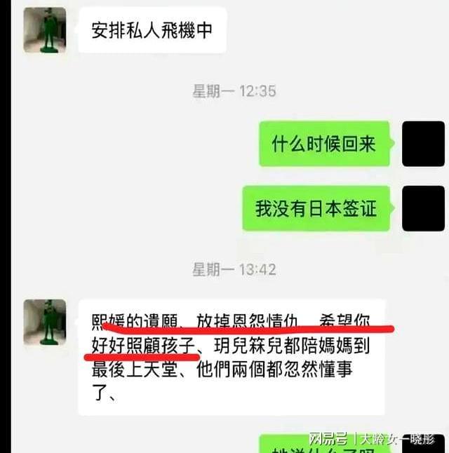 道话 透露了大s遗愿安排孩子的原因开元棋牌上大分他为汪小菲父子说了公(图6)