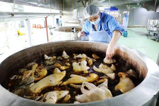 头鹅“飞”向全球餐桌！开元棋牌app澄海狮(图3)